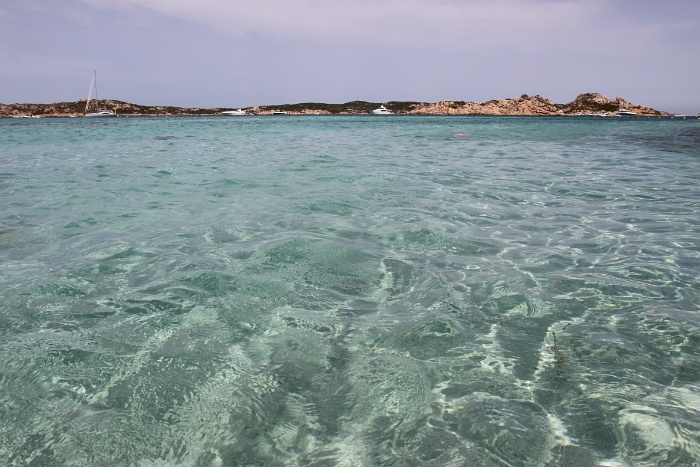 Plage Budelli - Ile de Budelli - 010